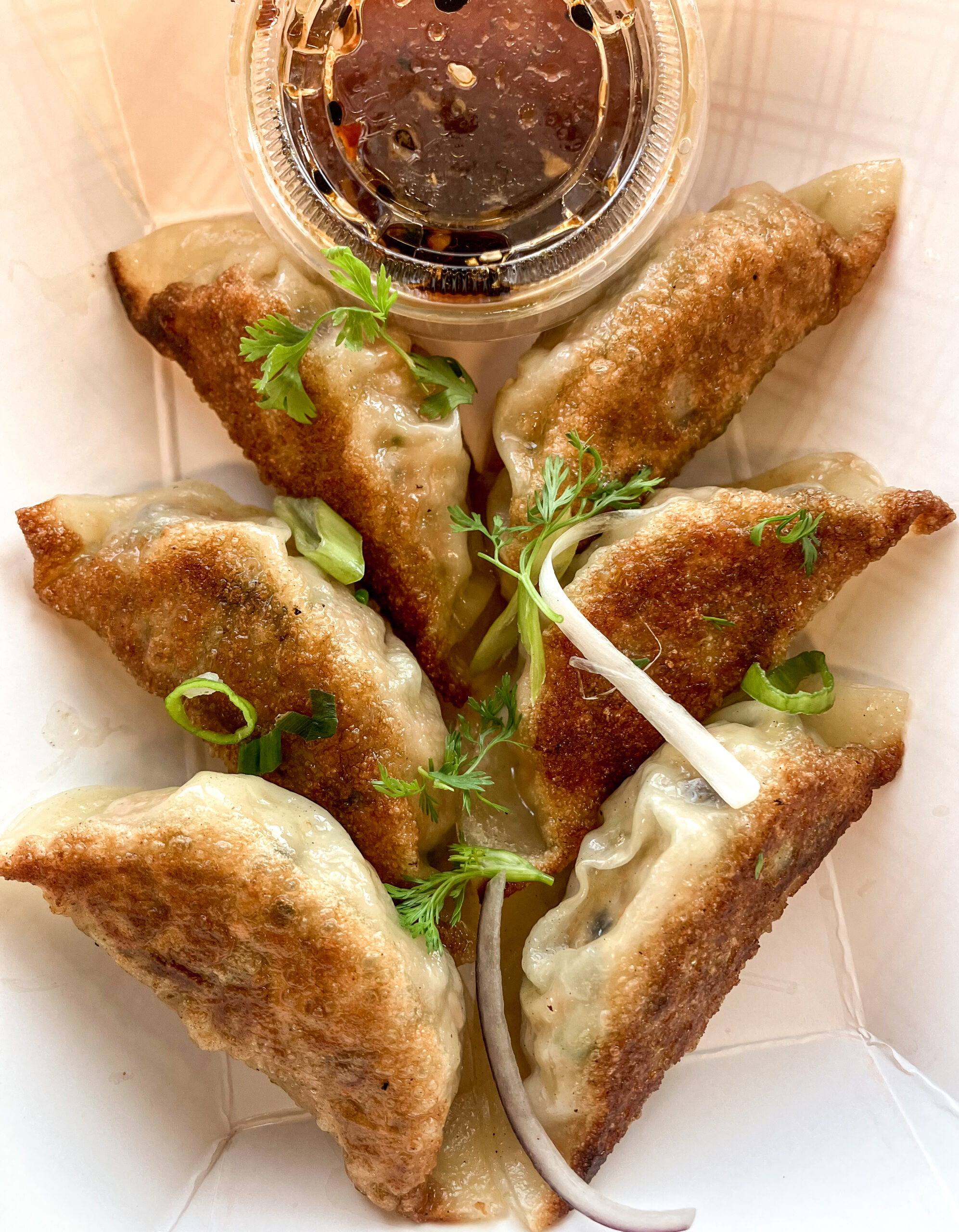 Pan-fried pot stickers with crispy golden bottoms, garnished with scallions and herbs, served with dipping sauce